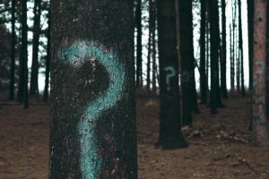 Operator ??= w JavaScript